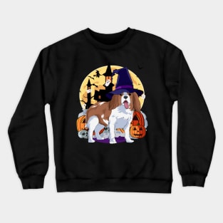 Cavalier king charles spaniel Halloween Witch Pumpkin Crewneck Sweatshirt